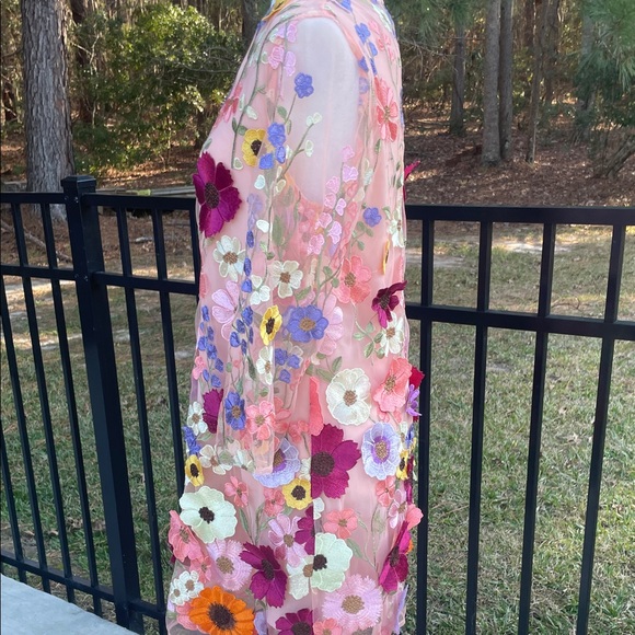 Storia Sheer Dress with Full Length Liner and Floral Embroidery - Picture 7 of 13